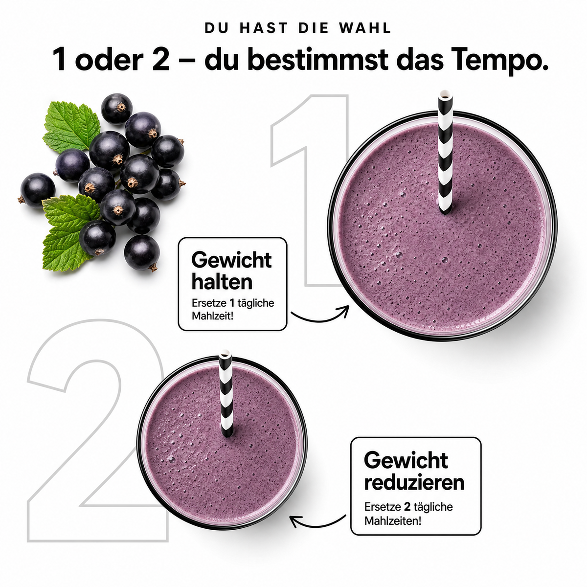 Abnehm-Shake Schwarze Johannisbeere