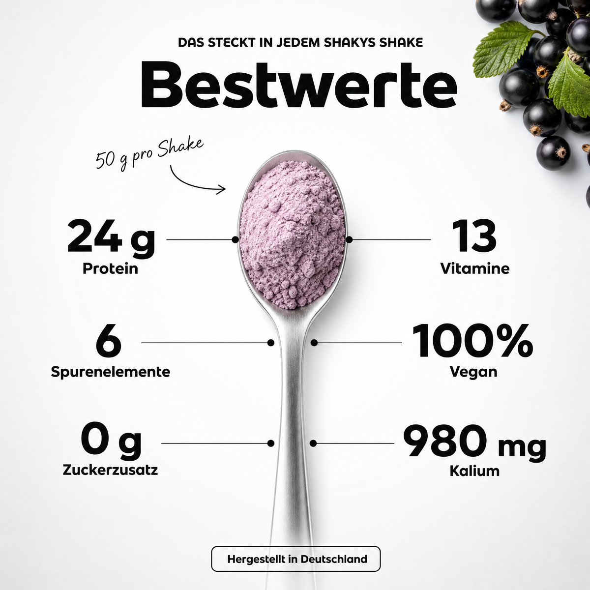 Abnehm-Shake Schwarze Johannisbeere